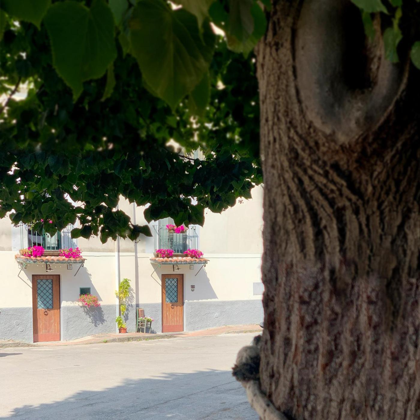 Bed and Breakfast Una Volta Cava deʼ Tirreni Exterior foto